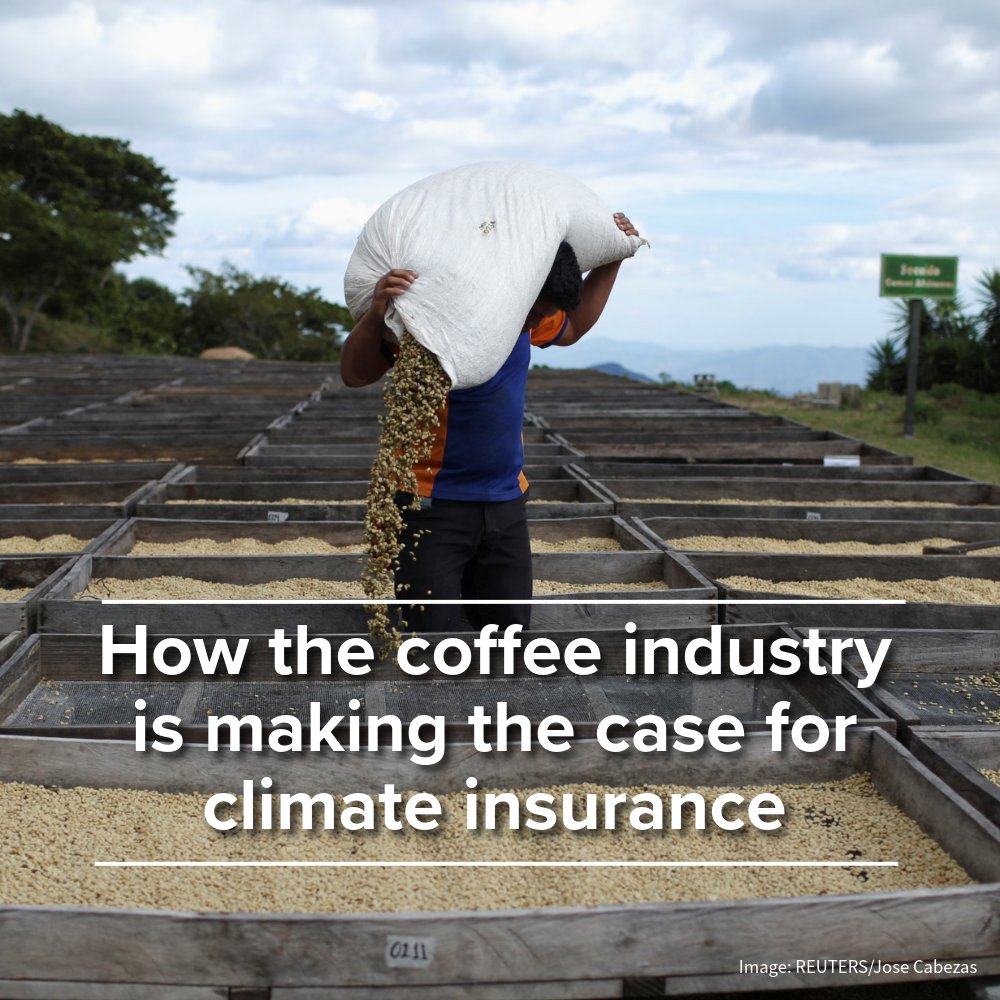 UNDP_SDGFinance's tweet photo. New @wef article by @UNDP &amp; @bluemarble_ins shows how #ClimateInsurance helps coffee farmers recover faster from climate shocks while stabilizes supply chains that economies like 🇨🇭🇮🇹🇩🇪 rely on.

Resilience is a value chain issue⬇️
https://t.co/yCsmnxWstZ https://t.co/srA0V2DgR2
