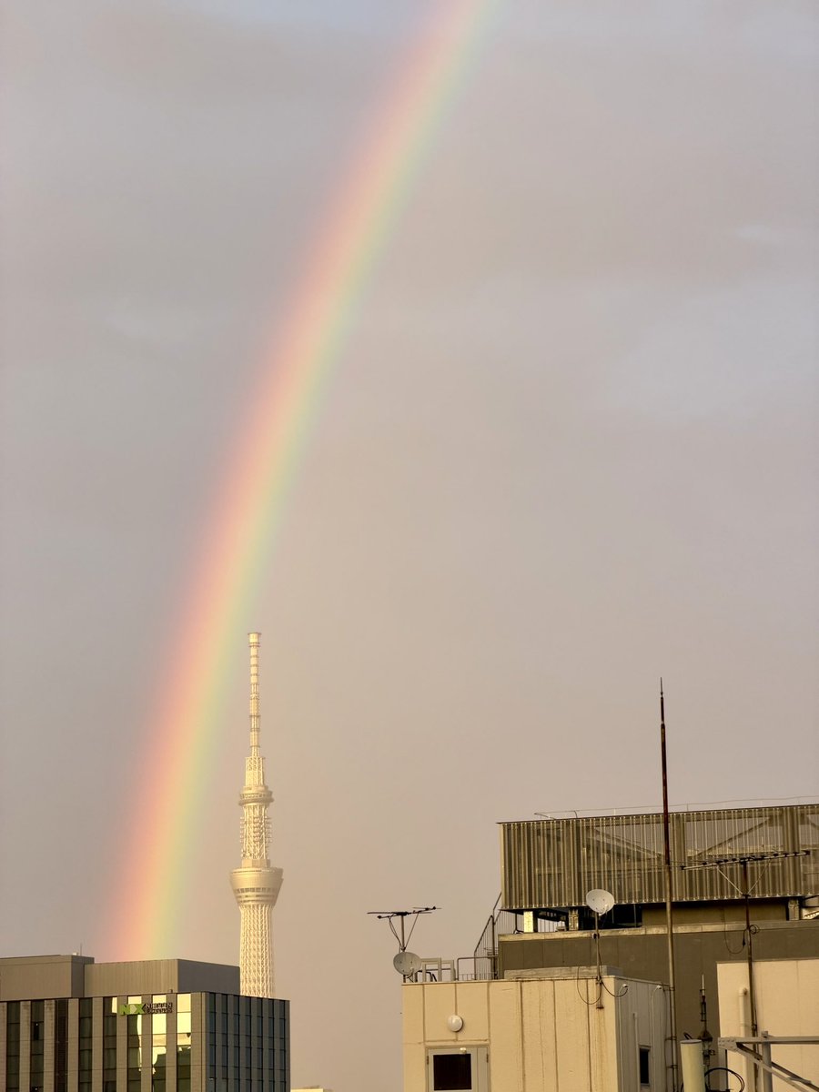 東の空に虹がかかってますね🌈
両端まで綺麗に見えてます
ブックタワーからお届けしました
#秋葉原
#書泉ブックタワー