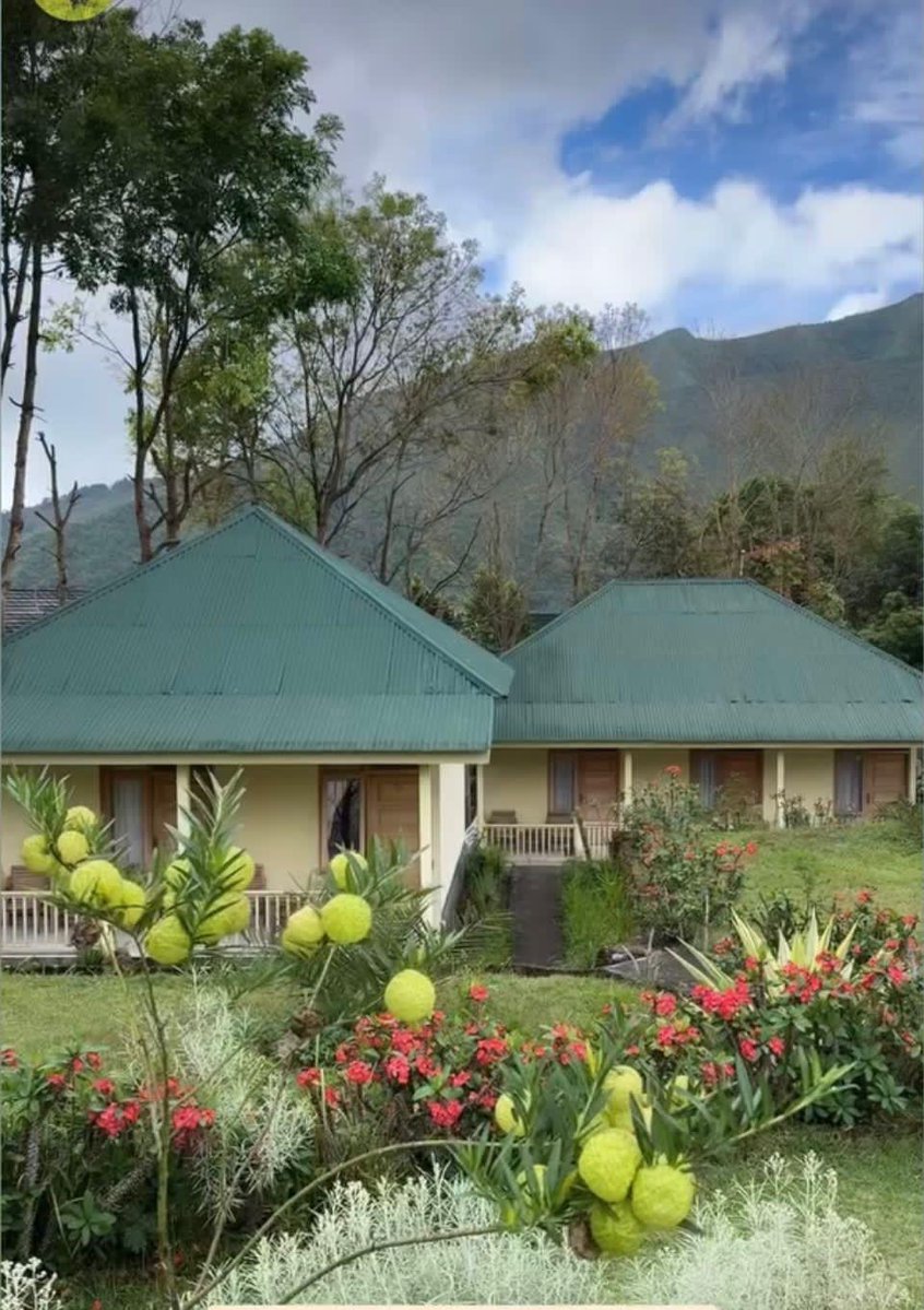 DiscoverLombok's tweet image. 🏡 Lembah Rinjani Sembalun Hotel and Resto

Escape to the cool air of Sembalun and own your private hideaway at the foot of Mount Rinjani. Ju...

📍 Category: Hotels
✅ Status: For Sale

#Lombok #RealEstate #PropertyForSale #LombokInvestment #PropertyForRent