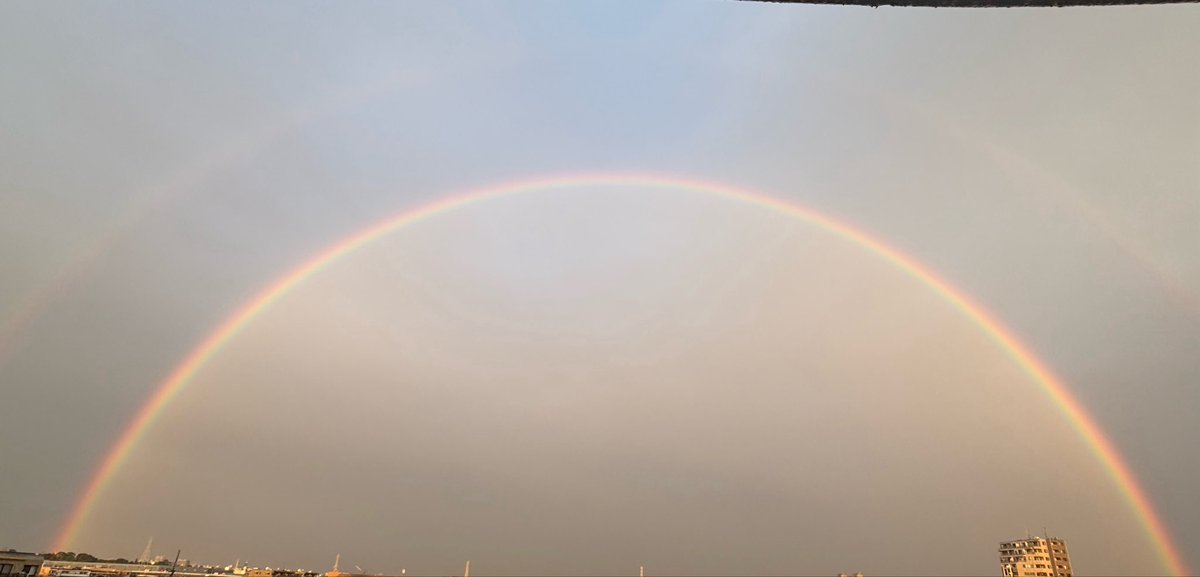 ねここ☆ tweet media