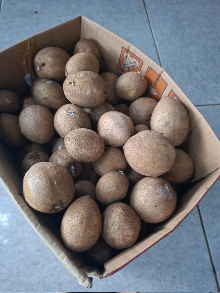 lail donat pink tweet media