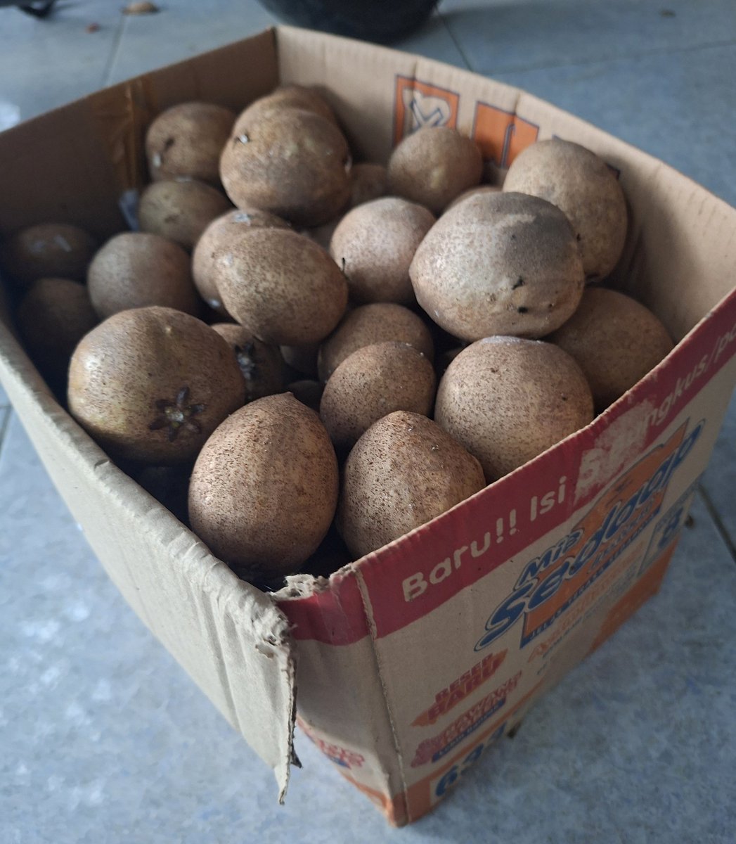 lail donat pink tweet media