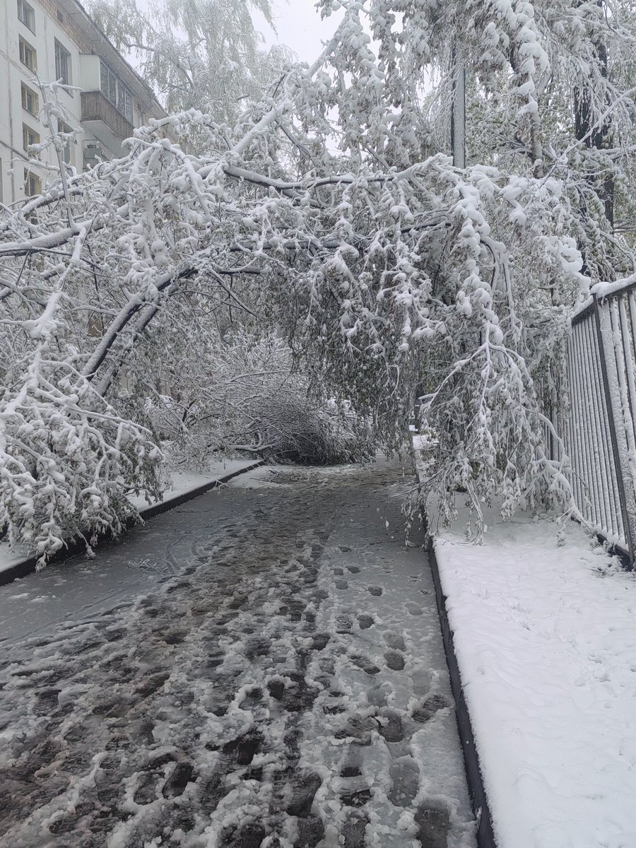 Stapler 🔞 tweet media