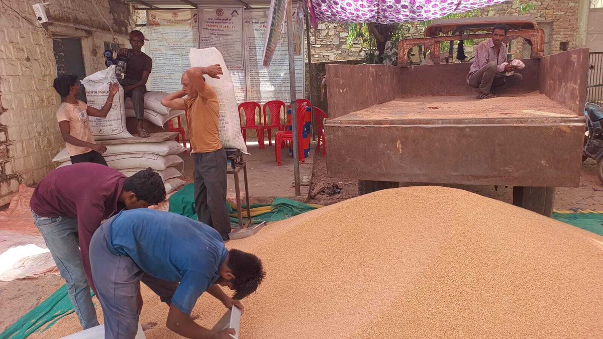 PROJSNeemuch's tweet image. (1/2)
#Kisanseva #MSP #WheatProcurement
@foodsuppliesmp 
@JansamparkMP
