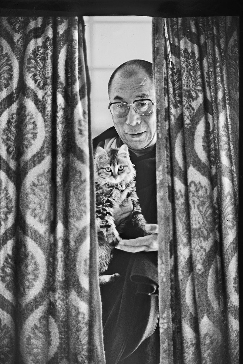 འོད་ཟེར།唯色Woeser💙💛 🦋 tweet media