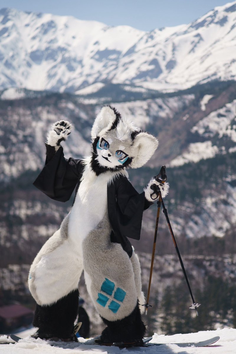 LEN the Snow Fox tweet media