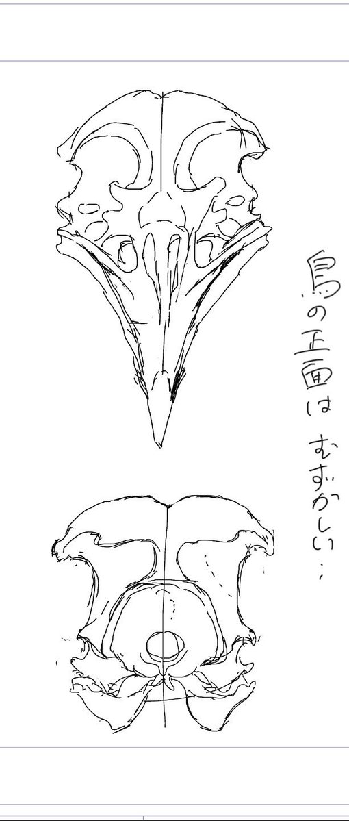 オノ tweet media