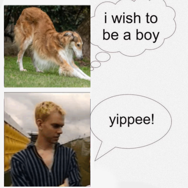 𝓕𝓻𝓮𝓪𝓴𝔂 W⊝rm 🪱⚗️ tweet media