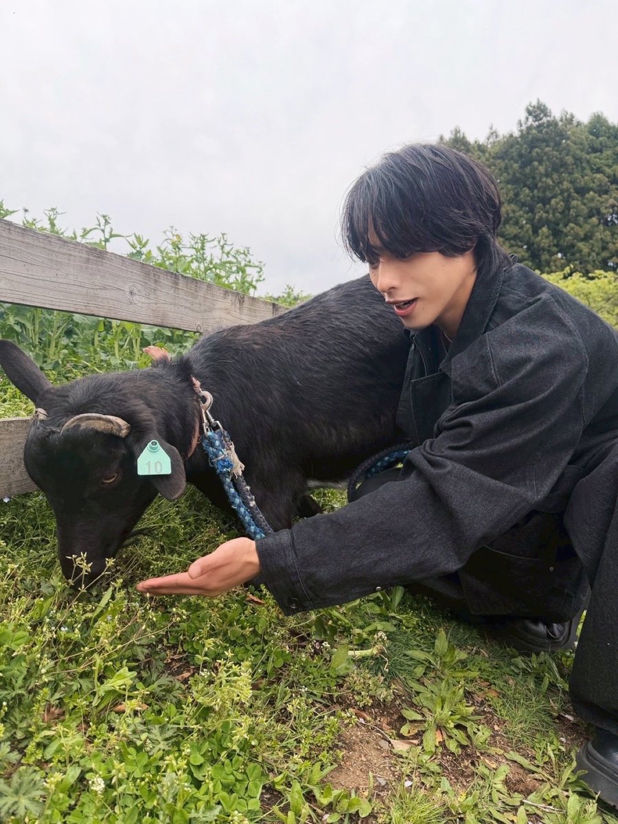 佐藤嘉人 tweet media