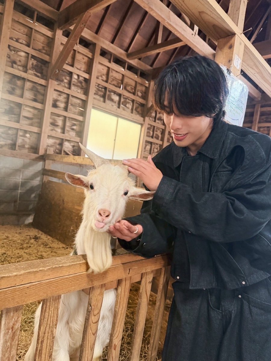佐藤嘉人 tweet media