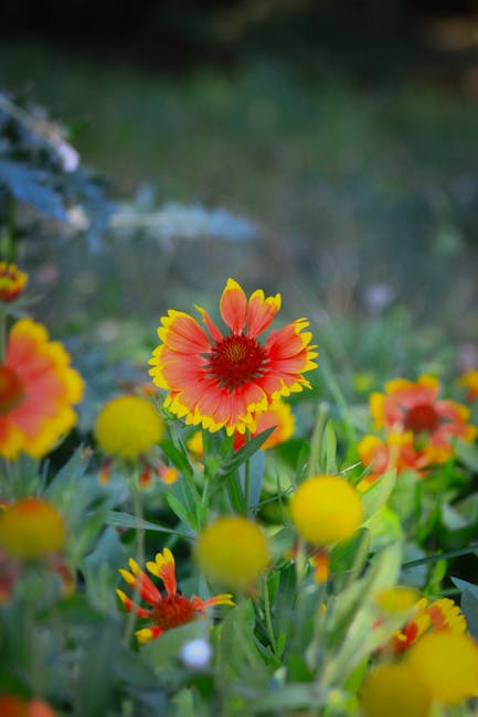 Tina Schultz tweet media