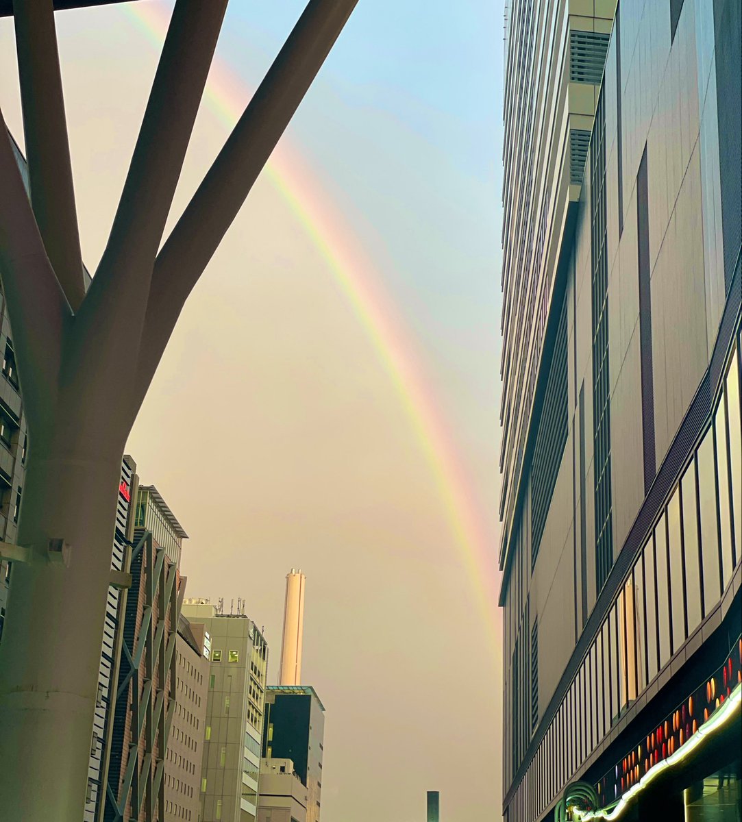夕日が出てるのに雨が降ってる謎の天気🧐
お陰で虹見れた🌈