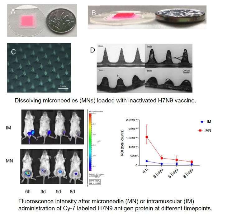 CD Bioparticles specializes in microneedle-based delivery of protein vaccines. Through soluble polymer systems and intradermal immune-targeting strategies, we provide more efficient, convenient, and safer skin-based immunization solutions.
cd-bioparticles.net/services/solub…
