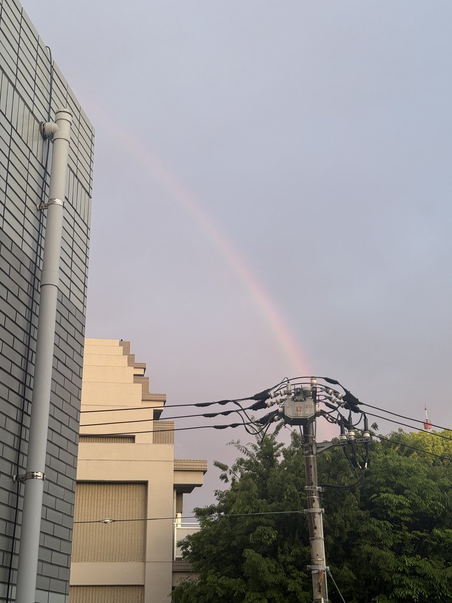 うすやま tweet media