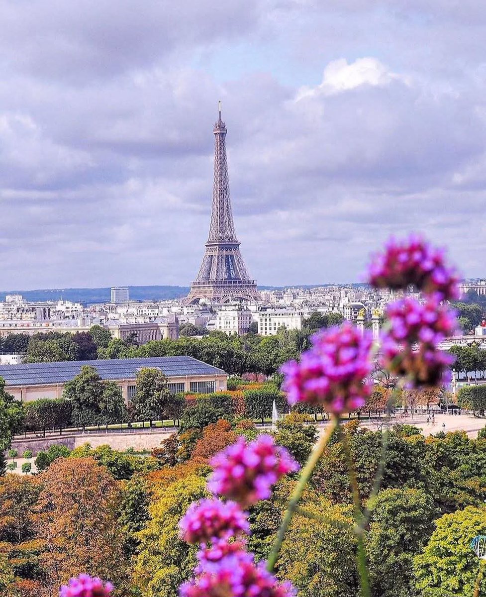 France Safety Travel tweet media