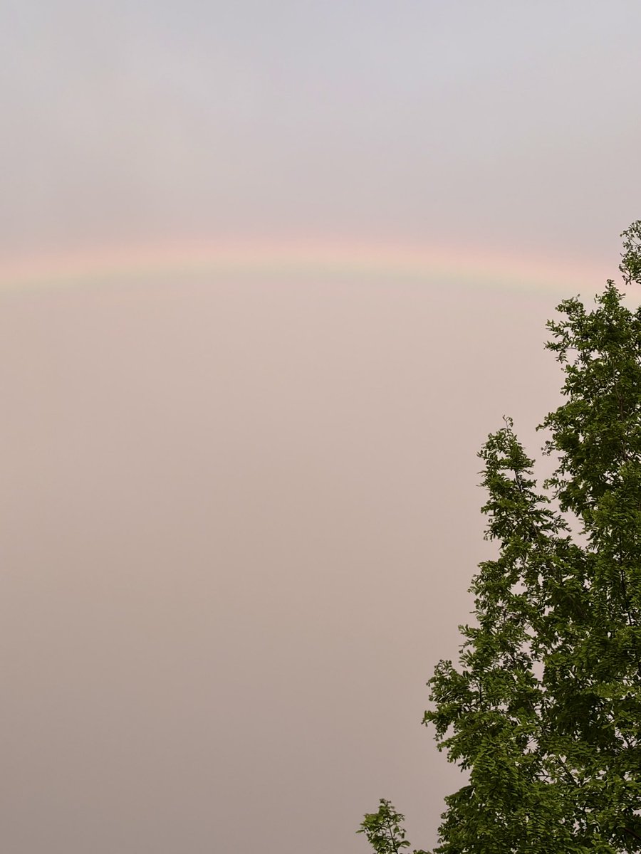 虹がでたよ🌈