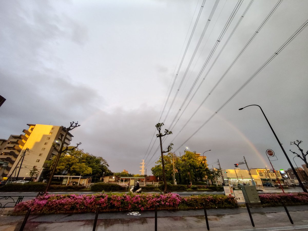 sayakaミルクレープ tweet media