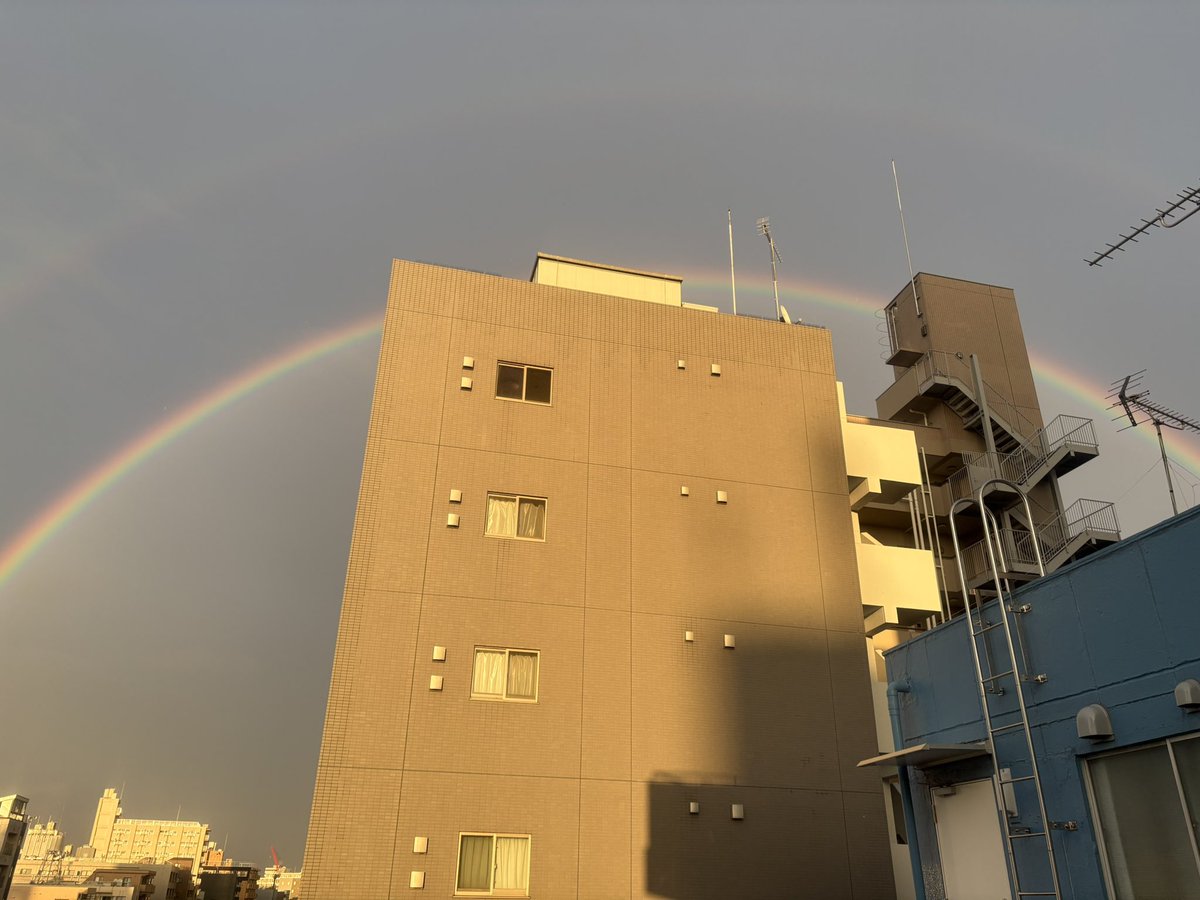 ikuko tweet media