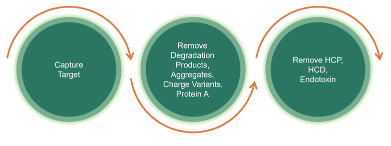 CD Bioparticles provides a comprehensive portfolio of agarose-based and magnetic agarose-based endotoxin removal products, designed to address the challenge of endotoxin contamination introduced during microbial expression, processing, and handling.
cd-bioparticles.com/flyer/pdf/com/…
