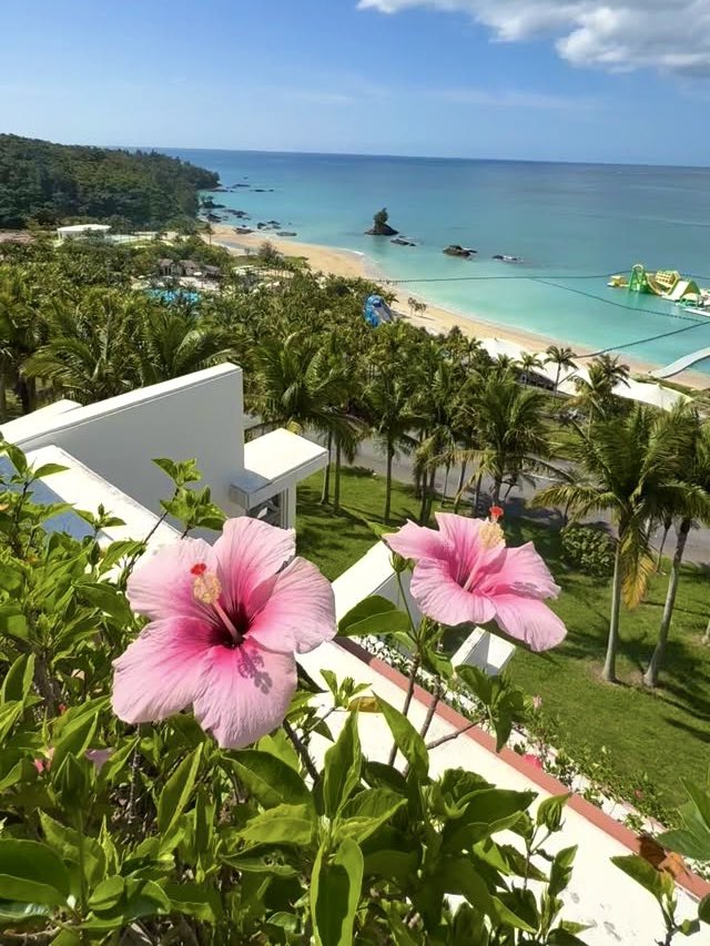 🫧 𝐉𝐔𝐋𝐘 🌷✨ tweet media