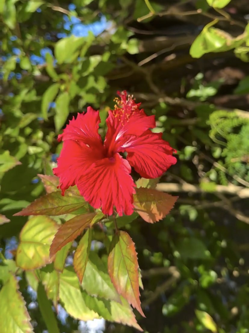 🫧 𝐉𝐔𝐋𝐘 🌷✨ tweet media