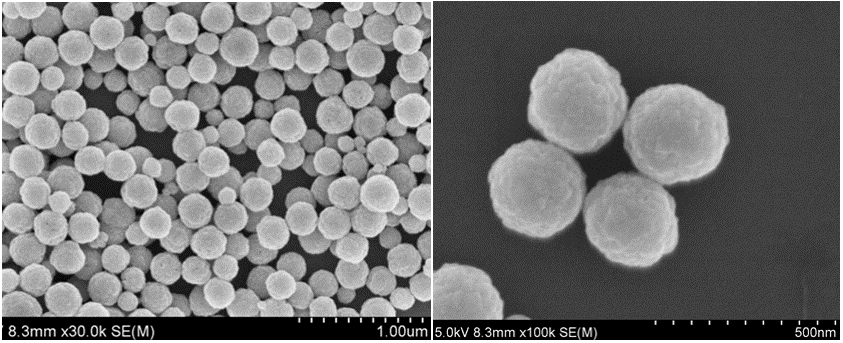 CD Bioparticles provides magnetic particles functionalized with various terminal active groups for further conjugation of affinity ligands. 
cd-bioparticles.com/product/active…