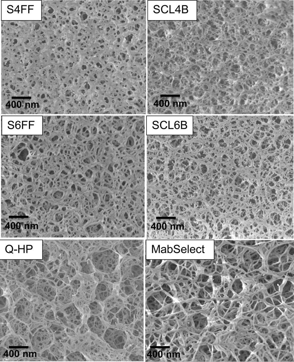 CD Bioparticles provides an extremely wide range of agarose particles mainly for the isolation and purification of proteins and antibodies. 
cd-bioparticles.com/products/agaro…