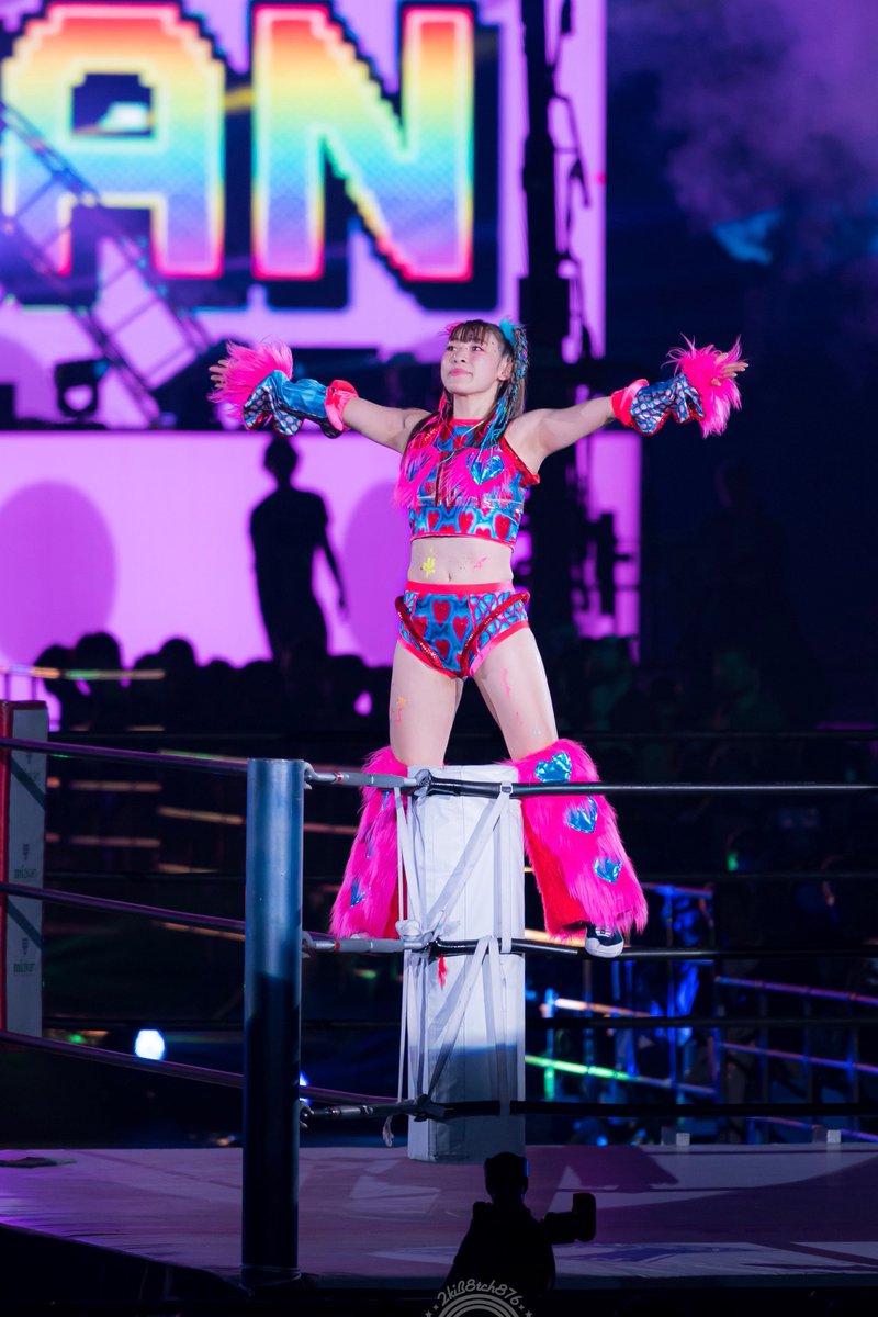 私にはプロレスラーの素質なんて本当は全然無くて、表には見えない