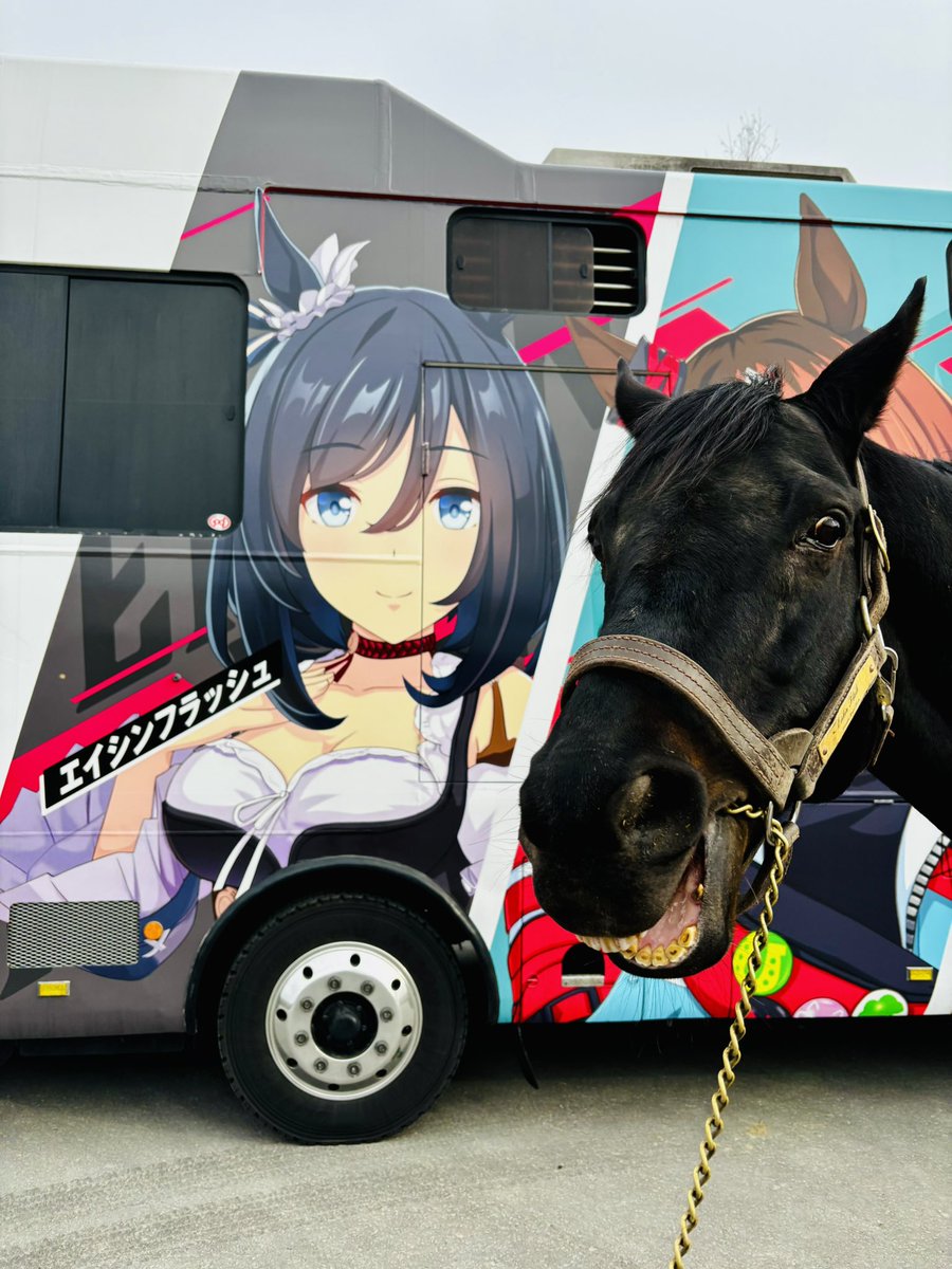 おーた部長👨‍🌾Yogibo ヴェルサイユリゾートファーム STAFF🌹 tweet media