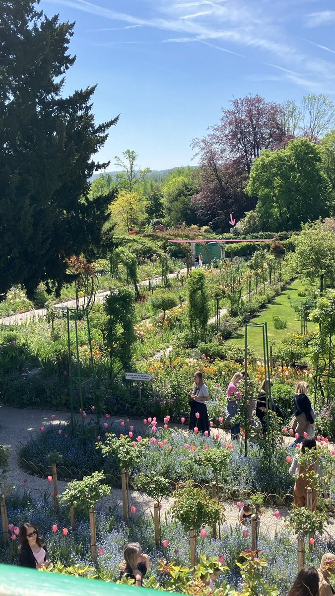 ●⏝● tweet media