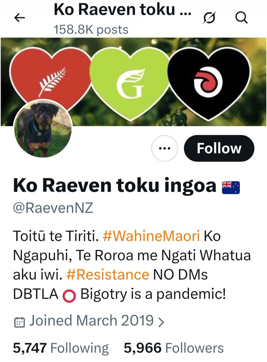 Te Pigeōn Juliē tweet media