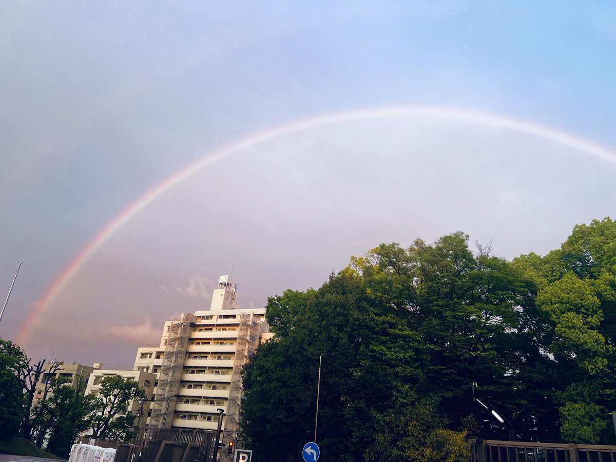 rioyamase's tweet photo. 虹🌈華麗✨
#にじ https://t.co/VB0dlk96GZ