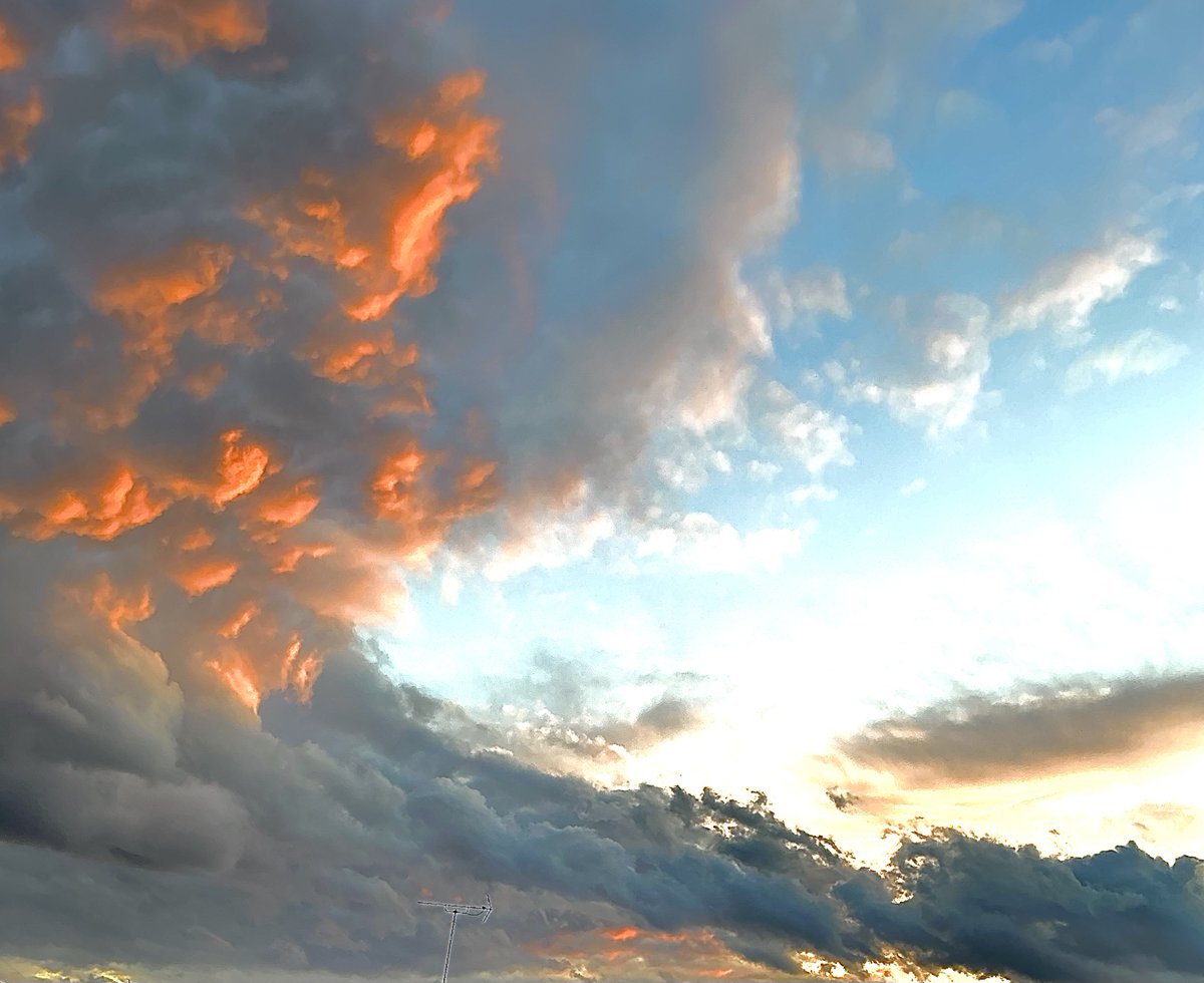 ココア tweet media