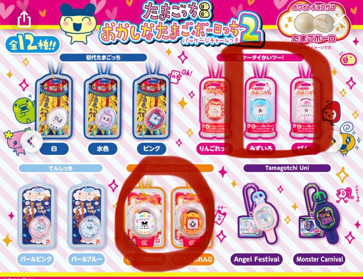 ぬい猫 tweet media