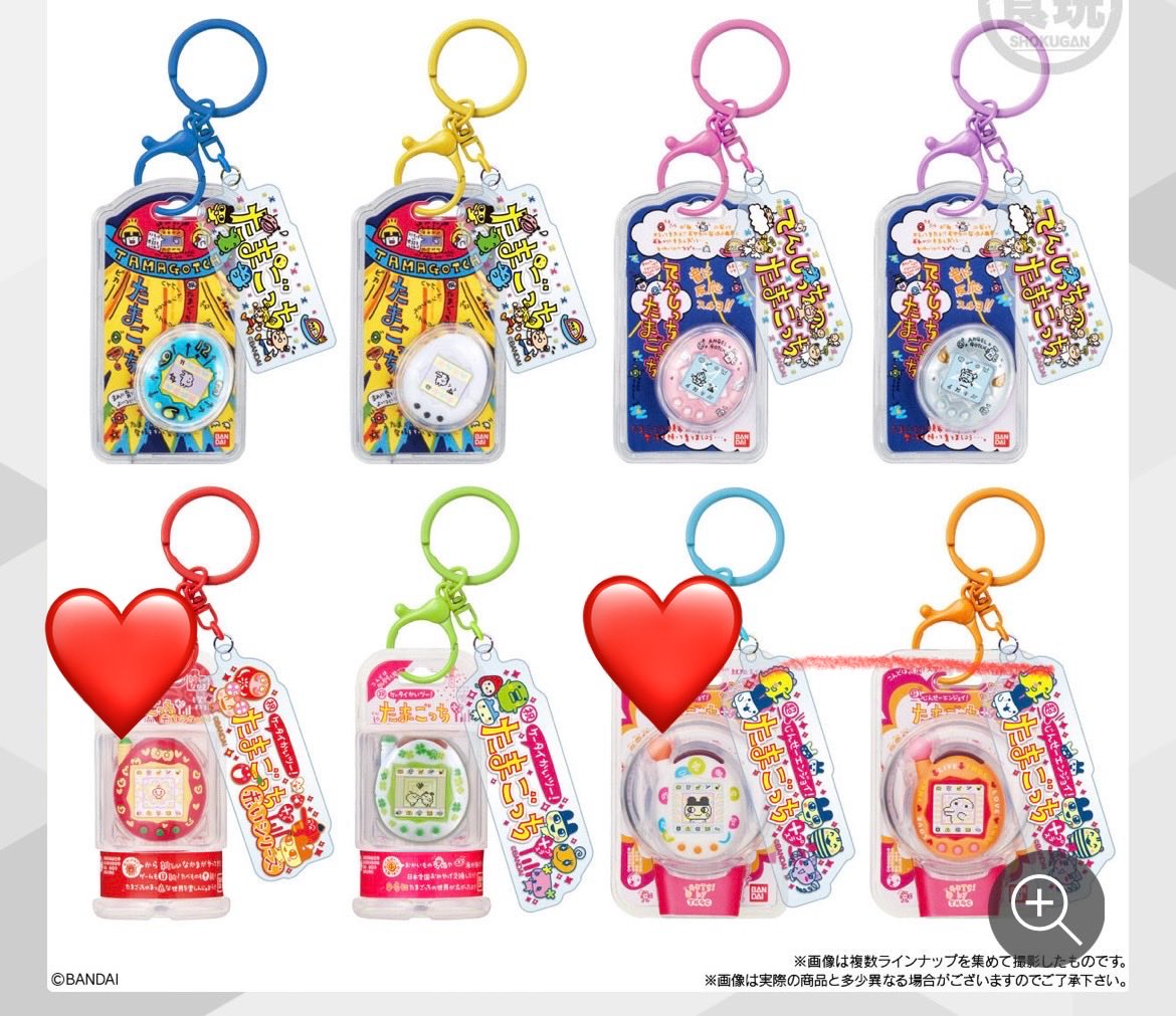 ぬい猫 tweet media