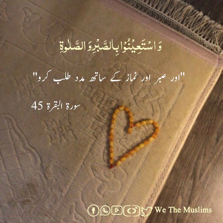 𝐿𝒶v𝑒𝑒𝓏𝒶_🍃 tweet media