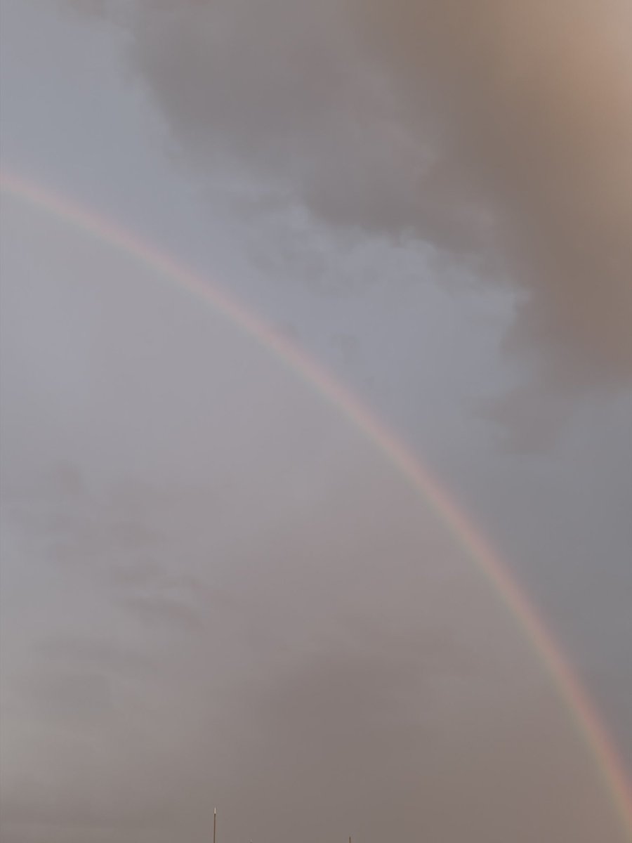 山口ねね☕🎀【わらふく】0425生誕祭🍰 tweet media