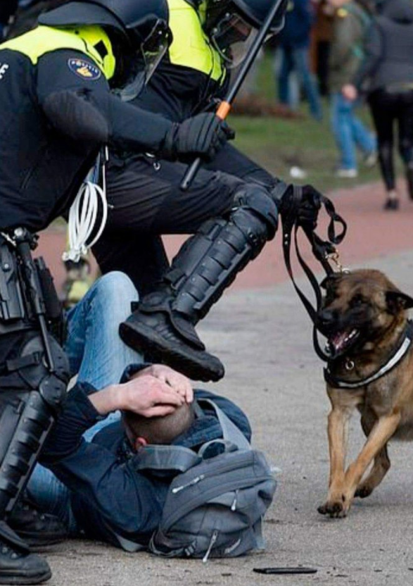 Strawman tweet media