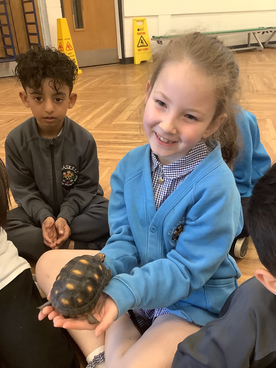 GaskellPrimary's tweet photo. We met some more reptile friends 🐢 @GaskellScience https://t.co/1R5txW0HiW