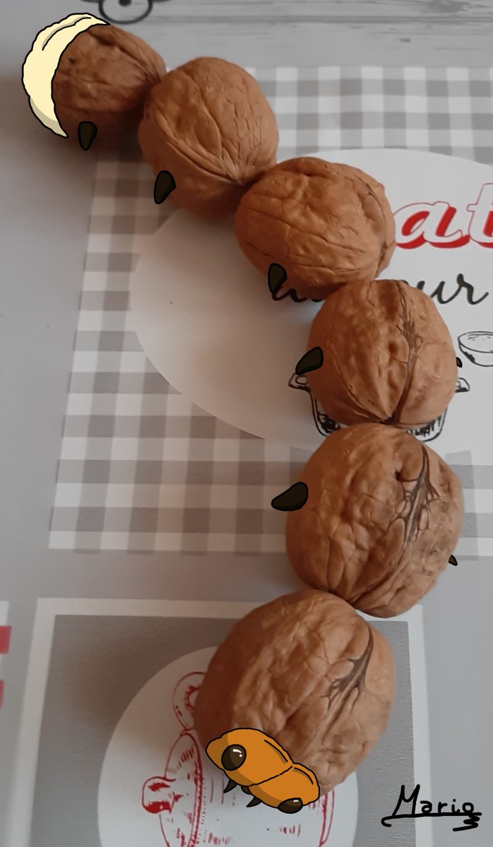 Marioredd19's tweet image. Nueva creatividad con objetos. Espero que os guste.
#creativity #object #photomanipulation #animallove #bug #caterpillar #nut #digitalart #digitalarwork