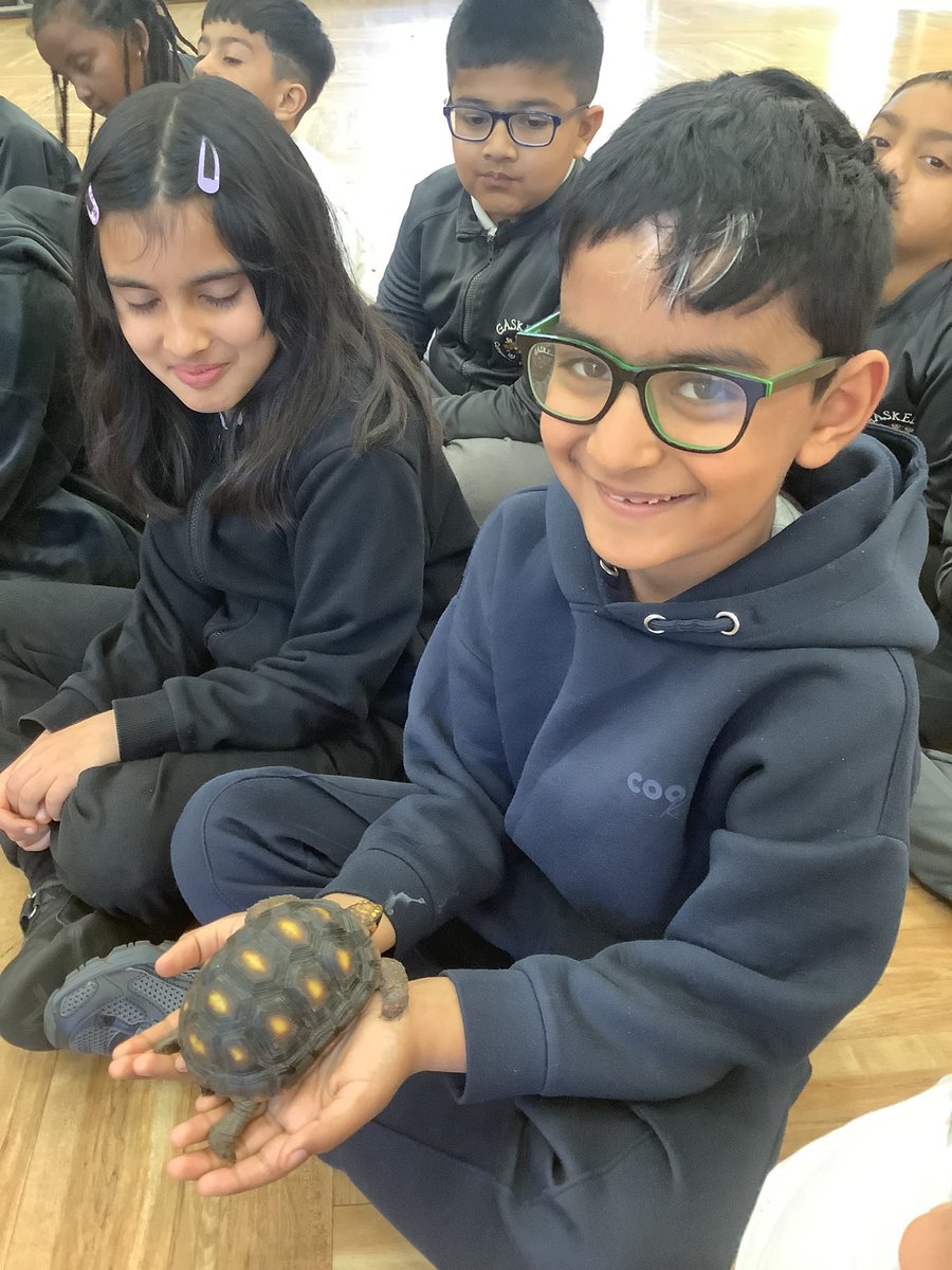 GaskellPrimary's tweet photo. We loved meeting the tortoise today 🐢 @GaskellScience https://t.co/0G6Y6GDaGg