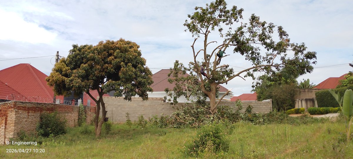 BlockStructkv's tweet image. #Day2 igikorwa dutangiranye ni site clearance aho ibiti nimizi yabyo igomba kuva mubutaka murwego rwo kwakira foots zacu. Mugumane natwe #siteclearance