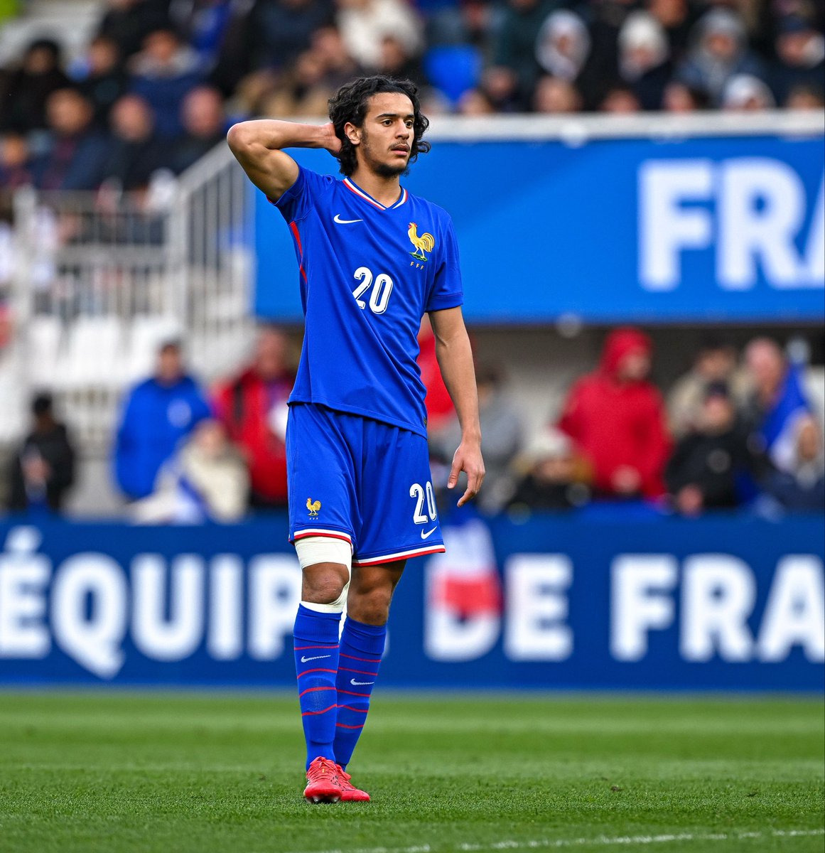 Andreas Anderson tweet media