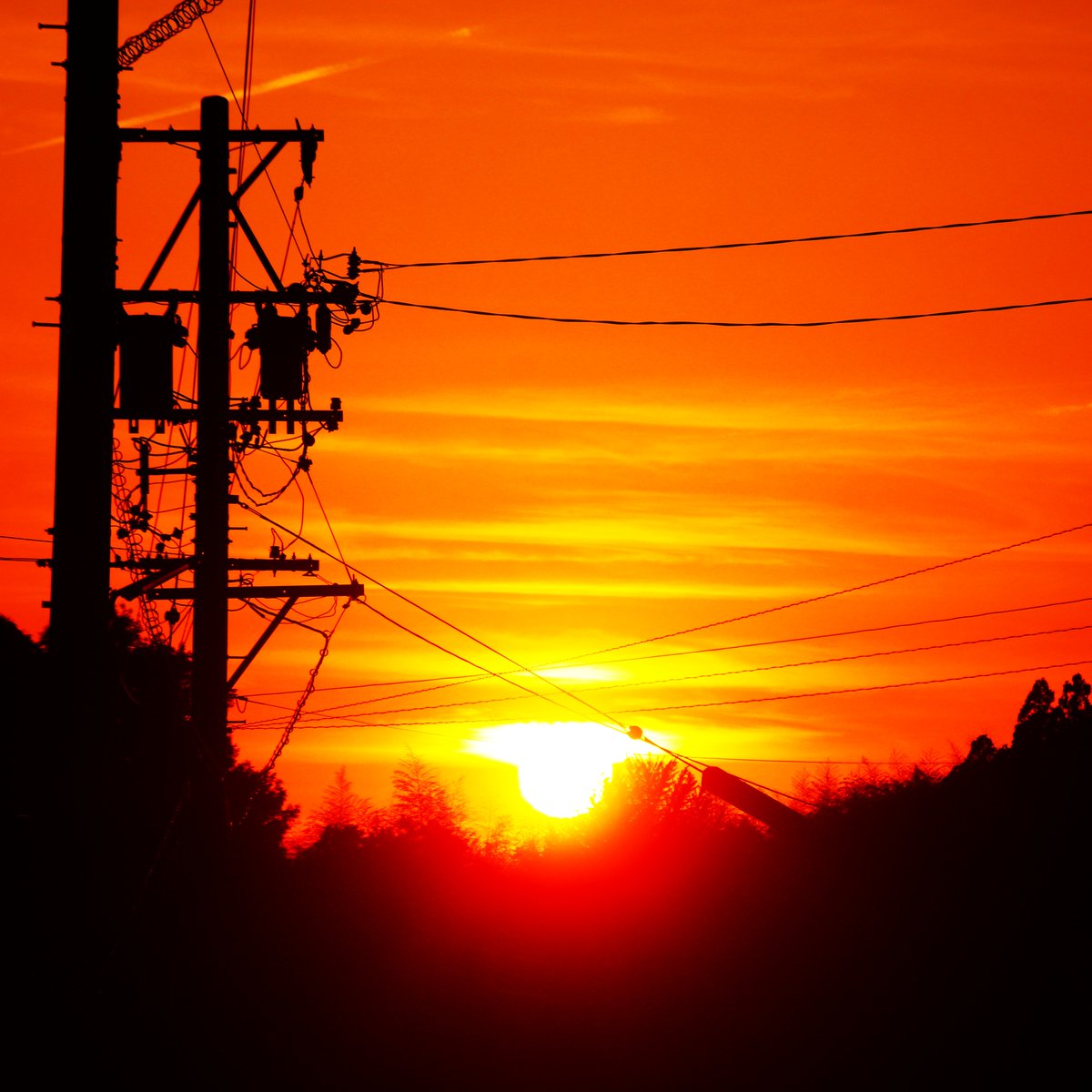 粂治郎 ❤︎ 皆様に感謝🍀 tweet media