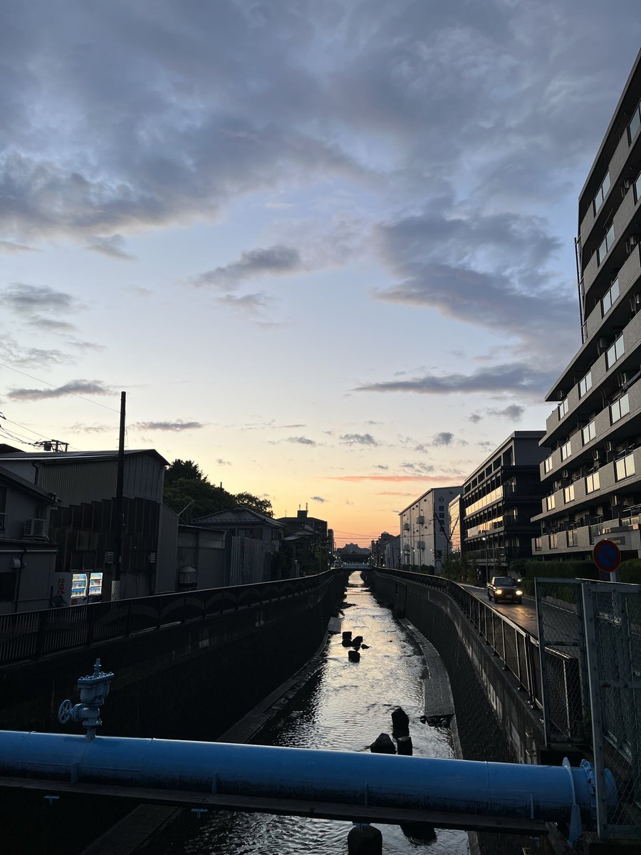 himawari811🌻 tweet media