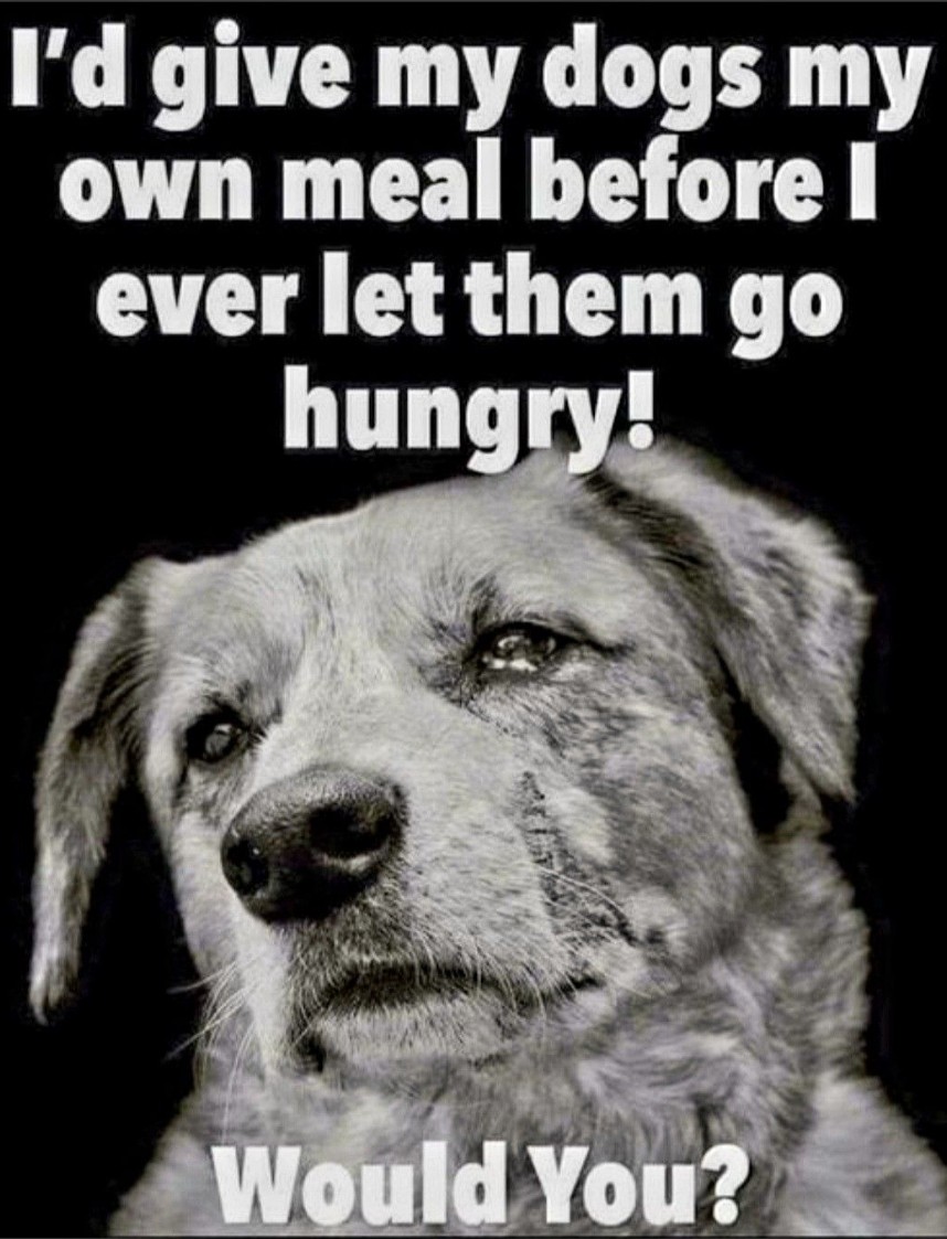 Pawzazzle tweet media