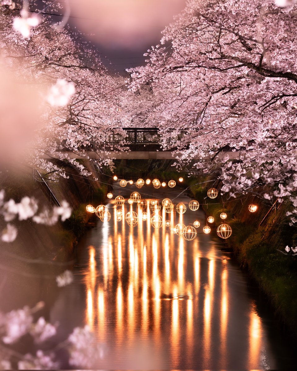 tokyocamerajp's tweet image. 東京カメラ部XアカウントへのSasaoYasuhiroさんの投稿作品。リポスト＆いいね！大歓迎です。
x.com/SasaoYasuhiro/…
#東京カメラ部 #Photograph #Photography