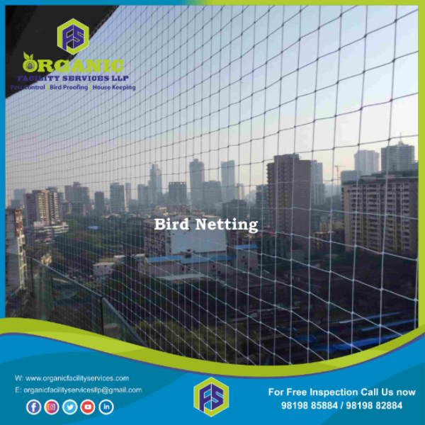 LlpOrganic's tweet photo. Bird Netting Service in Kandivali – Creating Safer and Cleaner Surro ..For more info visit...https://t.co/xcKG4jbqlX https://t.co/l4IDU9AG2G