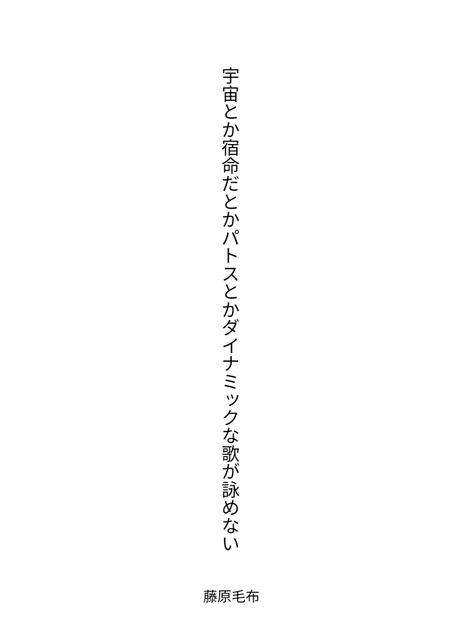 藤原毛布 tweet media
