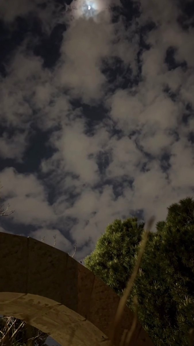 سراب…(سحااااااب) tweet media